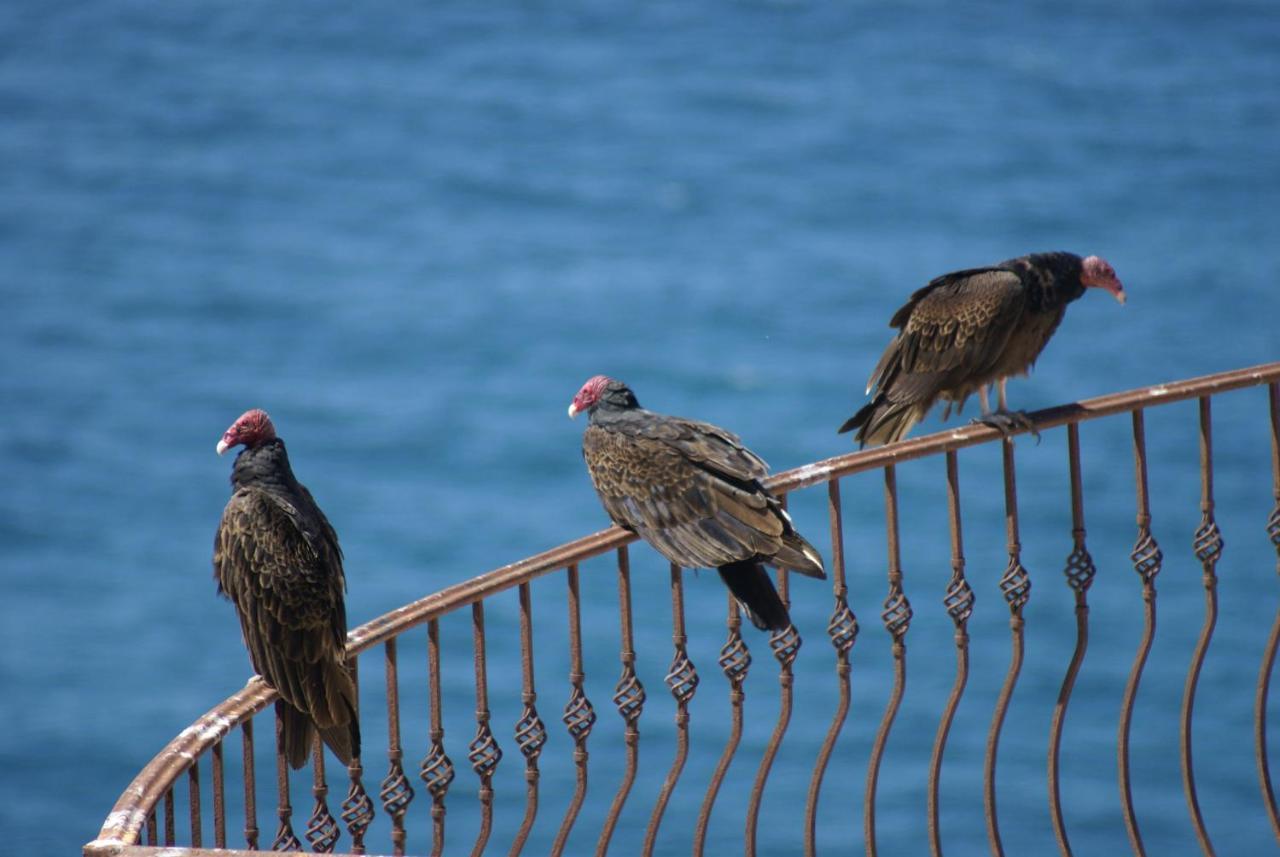 Casa Punta Vista Villa Cabo San Lucas Kültér fotó